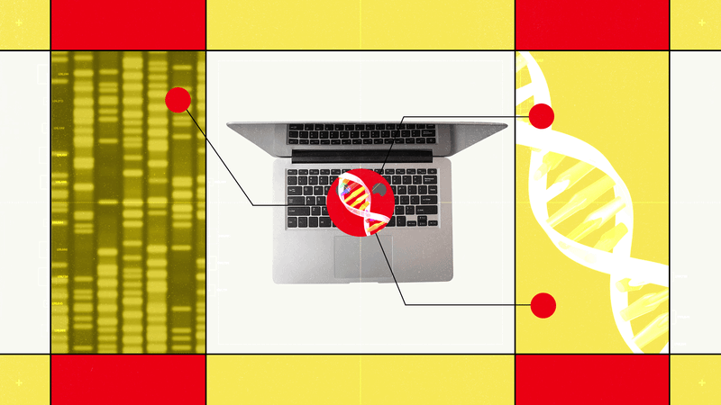 Hugging Face’s New AI Biology Model Lets You Chat With DNA — Wired, Amsterdam Technology news