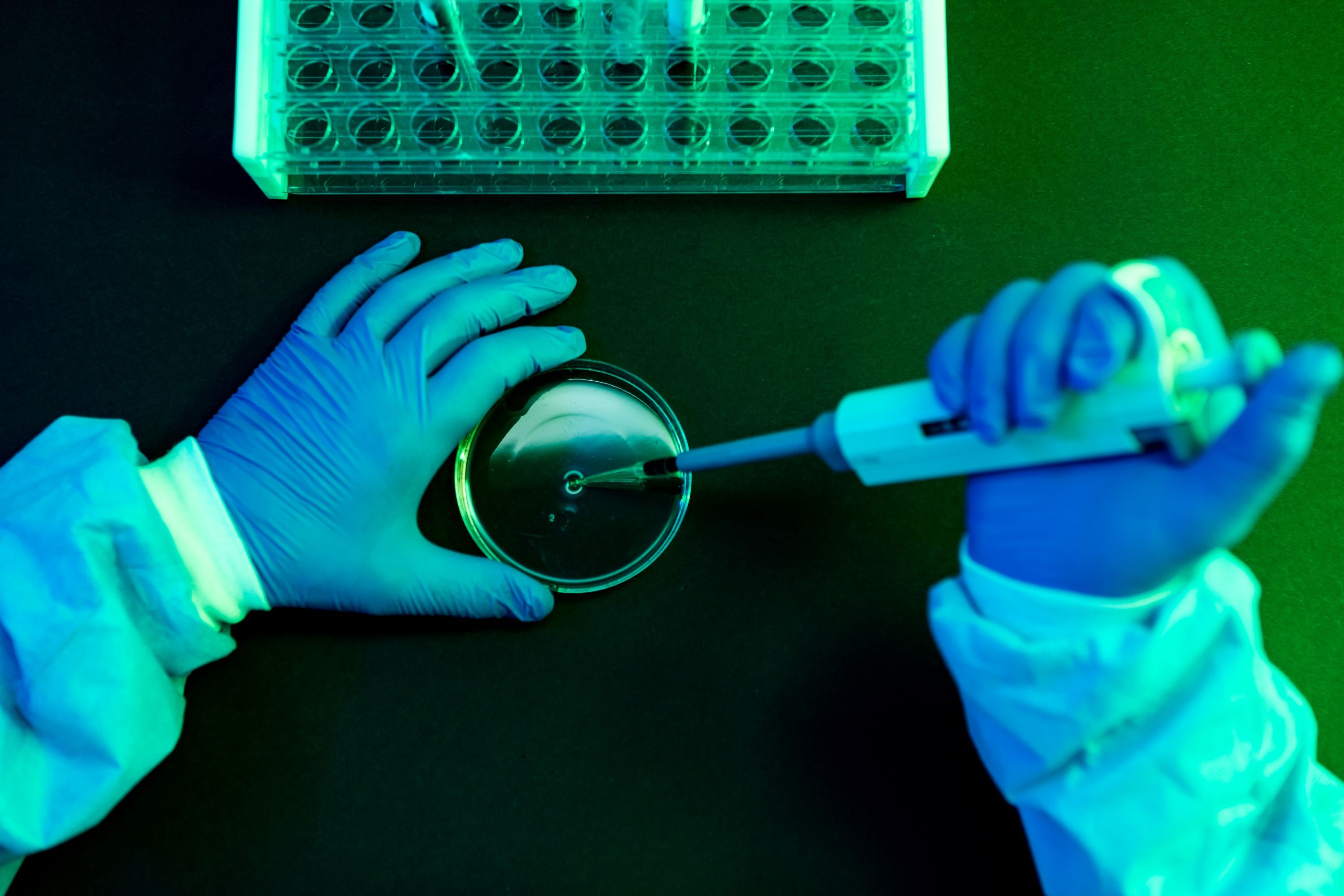 What to Know About Shamonda Virus Following the First Reported Human Infection — Wired