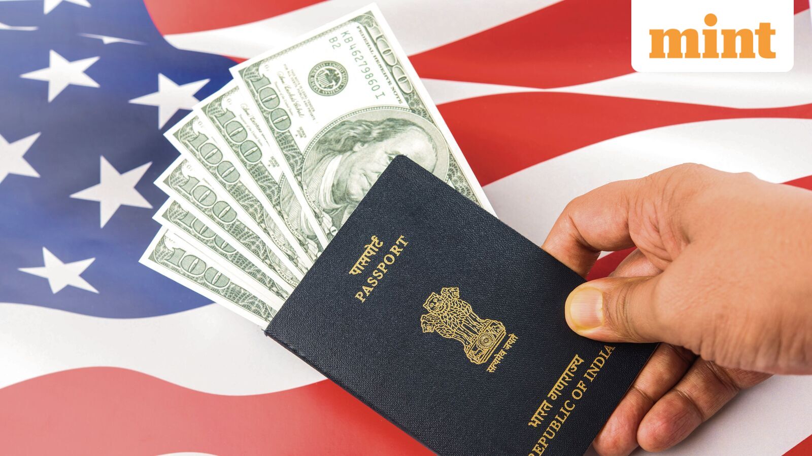 USCIS premium processing rule under review: What H-1B and green card applicants need to know — Mint India, Amsterdam Technology news